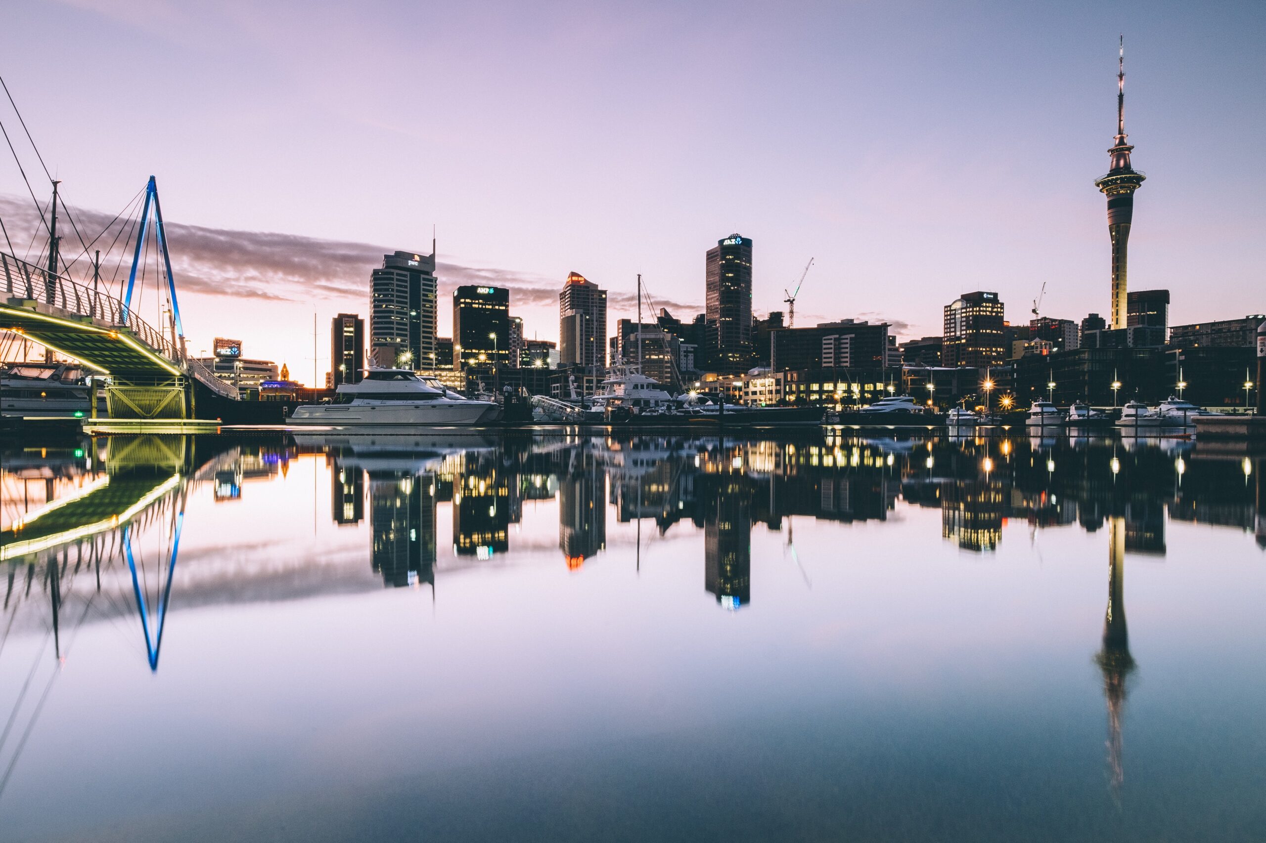 Newzealand Skyline